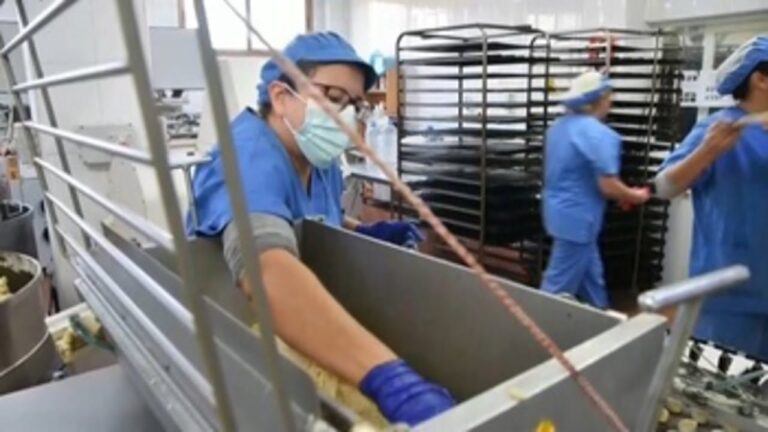 Aumenta la prestaci&oacute;n por desempleo: m&aacute;s apoyo econ&oacute;mico para quienes buscan trabajo