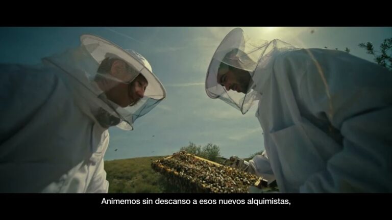 Descubre por qu&eacute; los alimentos de Espa&ntilde;a hacen de este pa&iacute;s el m&aacute;s rico del mundo