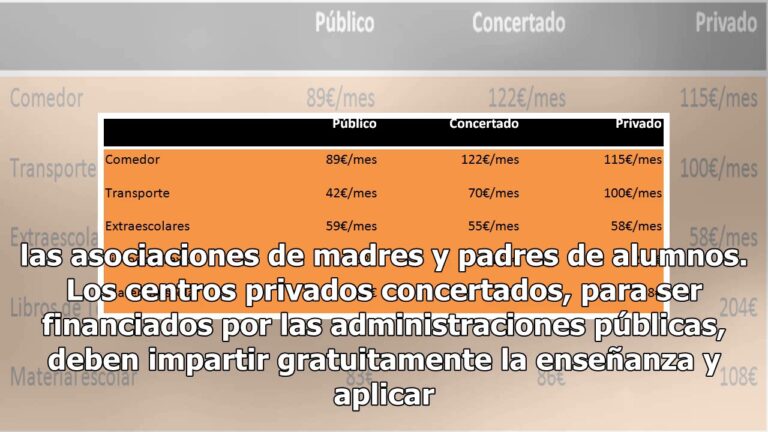 Colegio privado vs. concertado: ¿Cuál es la mejor opción?