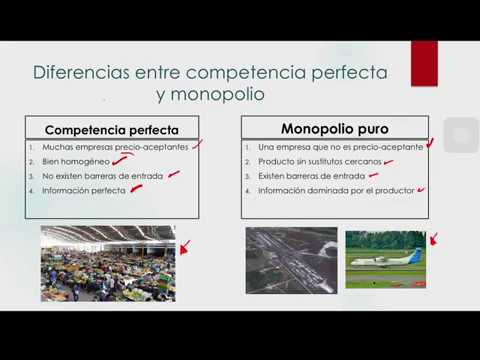 Descubre la gran diferencia entre competencia perfecta y monopolística